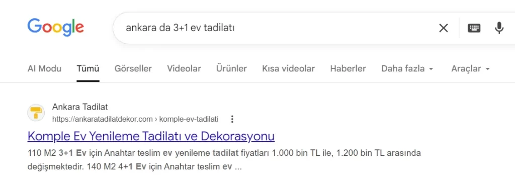 ankara-seo-geo-google (8)